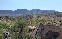 184 Black Hill Rd, Terlingua, TX 79852