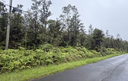OHIA AVE, Mountain View, HI 96771