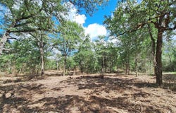 1014 Beaver Lake Dr, Caldwell, TX 77836