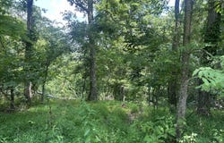 Bushwack Road, Golconda, IL 62938