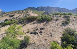 1414 N 1500 E, Provo, UT 84604