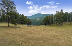 TBD PINK CABIN RD, Hill City, SD 57745
