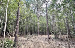 1 Clara Foote Rd, Braxton, MS 39044