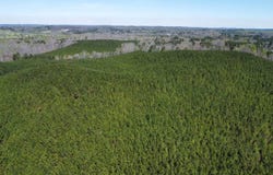 Robin Hill Road, Oneonta, AL 35121