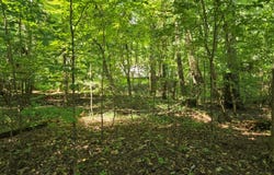 Cedar Drive lot: 401, Sparta, GA 31087