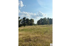 TRACT 4 HWY 990, Simms, TX 75574