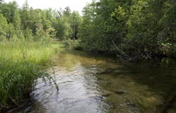 4573 N Able Road, Irons, MI 49644