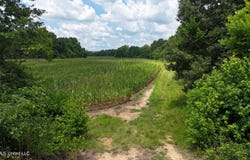 Barr Road, Coldwater, MS 38618