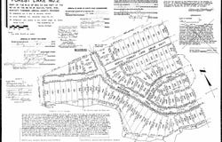 N Forest Lake Drive, Alger, MI 48610