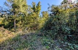 378 Ladd Springs Road SE, Cleveland, TN 37323