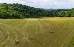 25 KOOGLER TRL, RAPHINE, VA 24472