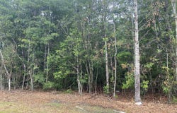 21205 S Fork Road, Saucier, MS 39574