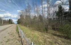 Pigtail Road, Friendship, NY 14739
