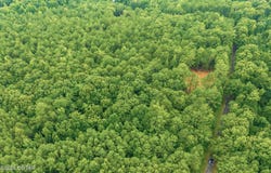 Old Lula Road, Reagan, TN 38368