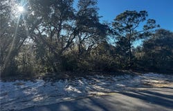 4316 Cremona Drive, Sebring, FL 33872