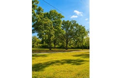Cemetery Road, Clinton, AR 72031