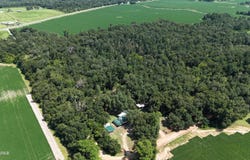 Conner Road, Grand Ridge, FL 32442