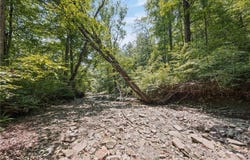 Middle Road, Angelica, NY 14709