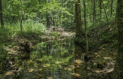 2789 Highway Jj, Squires, MO 65755
