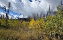 2025 Granite Rd, Bellvue, CO 80512