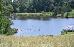 115 Bingham Lane, De Queen, AR 71832
