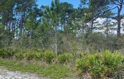 23 Beechcraft Drive, Panacea, FL 32346