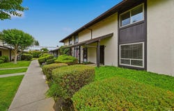 3409 Willis Drive, Napa, CA 94558