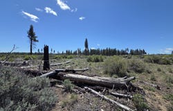 Mountain Quail Lane lot: 9, Chiloquin, OR 97624