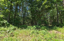 186 BIG OAK Drive, POINTS, WV 25437
