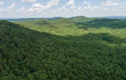 Tbd Ryan Rd, Oden, AR 71961