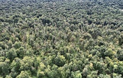 Wp Lot 001 Summit Rd, Mc Clure, PA 17841