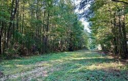 NE Williams Street, Brookhaven, MS 39601