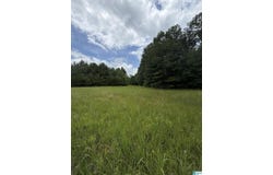 HALL BURTON ROAD lot: 1, SUMITON, AL 35148