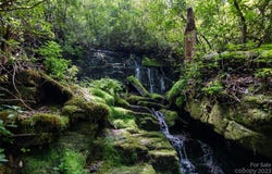 Nancy Mountain Road, Rosman, NC 28772