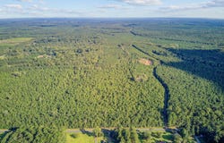 Summers Drive, Ridgeville, SC 29472