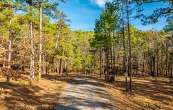 Miller Point (Lot 47) Drive, Quitman, AR 72067