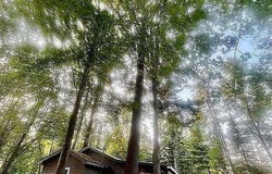 5298 Mills Drive, Prescott, MI 48756
