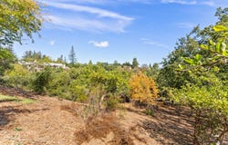16099 Greenwood RD, MONTE SERENO, CA 95030