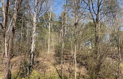 Jack Pittman Road, Dacula, GA 30019