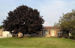 557 N Fail Road, La Porte, IN 46350