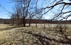 150th Street lot: A, Pilot Mound, IA 50223