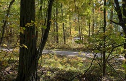 TICINO DRIVE, REED CITY, MI 49677