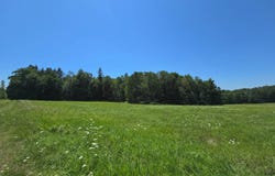 0WP Nabinger Hill Rd, Nineveh, NY 13813