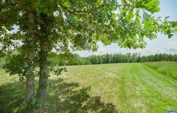 RIVER RIDGE RD, DILLWYN, VA 23936