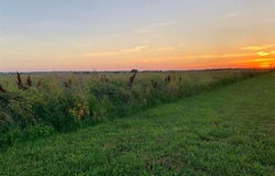 Hoffman Ct, Little River, KS 67457