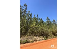 Highway 168, Century, FL 32535