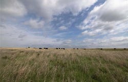 0041 E 4500 Road, Pawnee, OK 73061