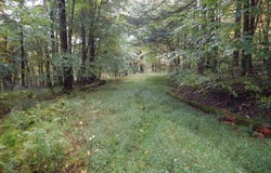 Flanders Hill Road, Windsor, NY 13865