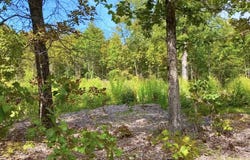 Db Tract 23, Pomona, MO 65789