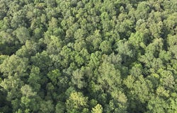 607 Galbraith Rd., Brooksville, KY 41004